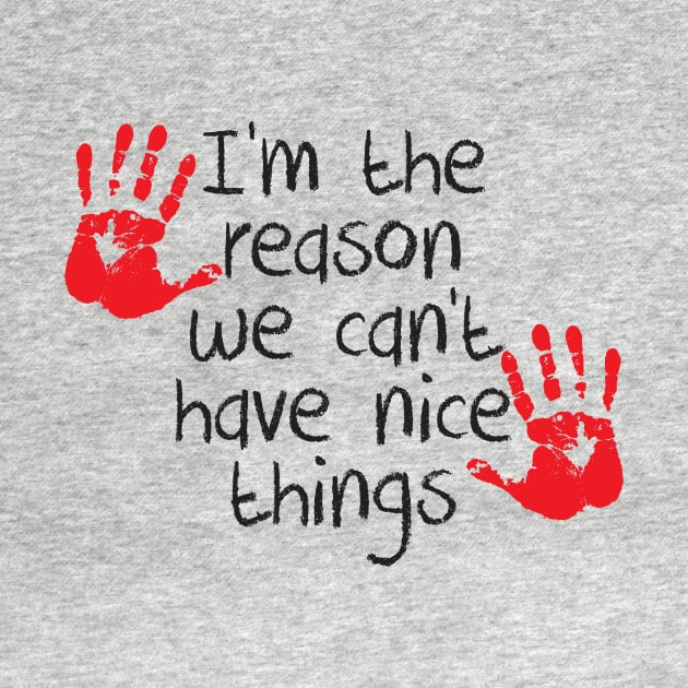 I am the reason we can't have nice things by e2productions